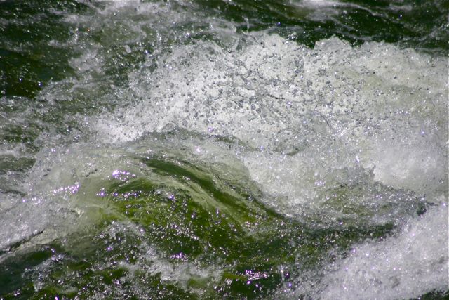 A standing wave in the Blue River at peak runoff, July 2011.